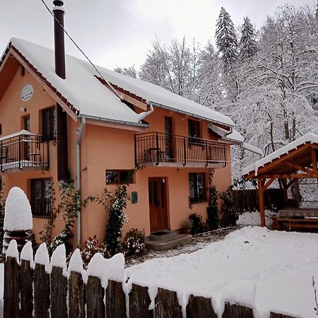 Casa Iulia & Matei Villa Cîrţişoara Kültér fotó