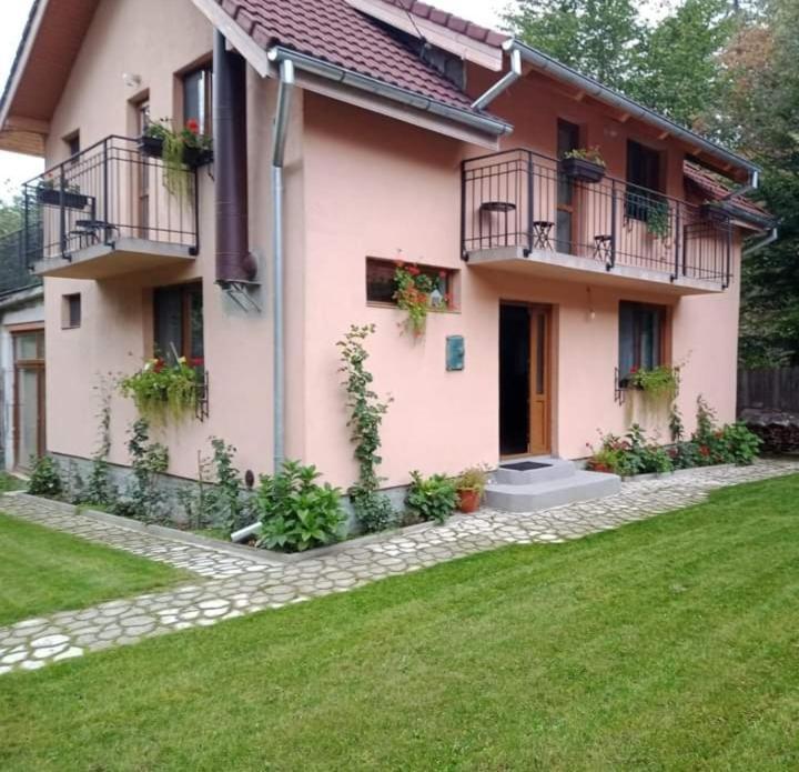 Casa Iulia & Matei Villa Cîrţişoara Kültér fotó
