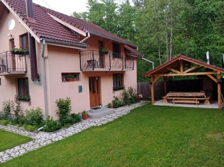 Casa Iulia & Matei Villa Cîrţişoara Kültér fotó