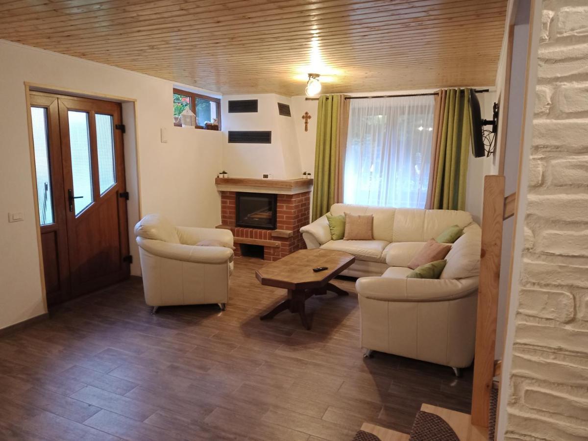 Casa Iulia & Matei Villa Cîrţişoara Kültér fotó