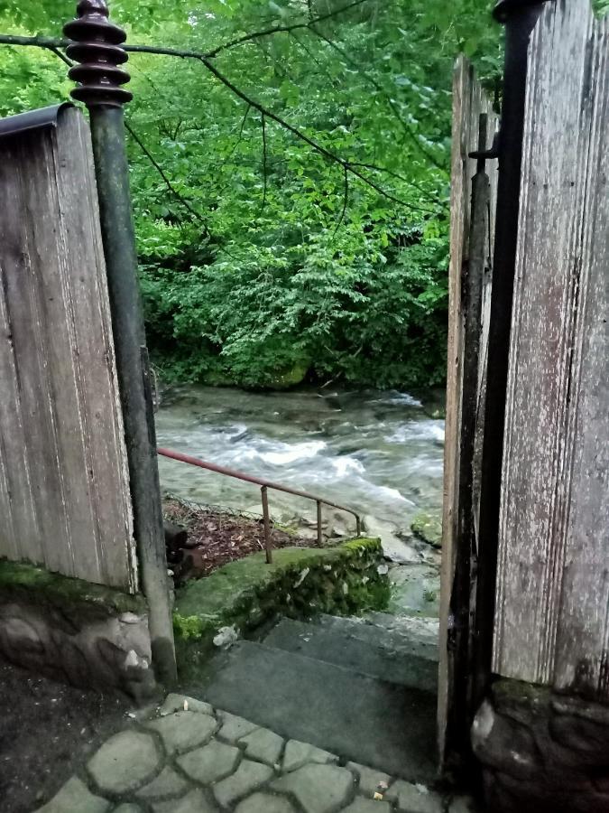 Casa Iulia & Matei Villa Cîrţişoara Kültér fotó