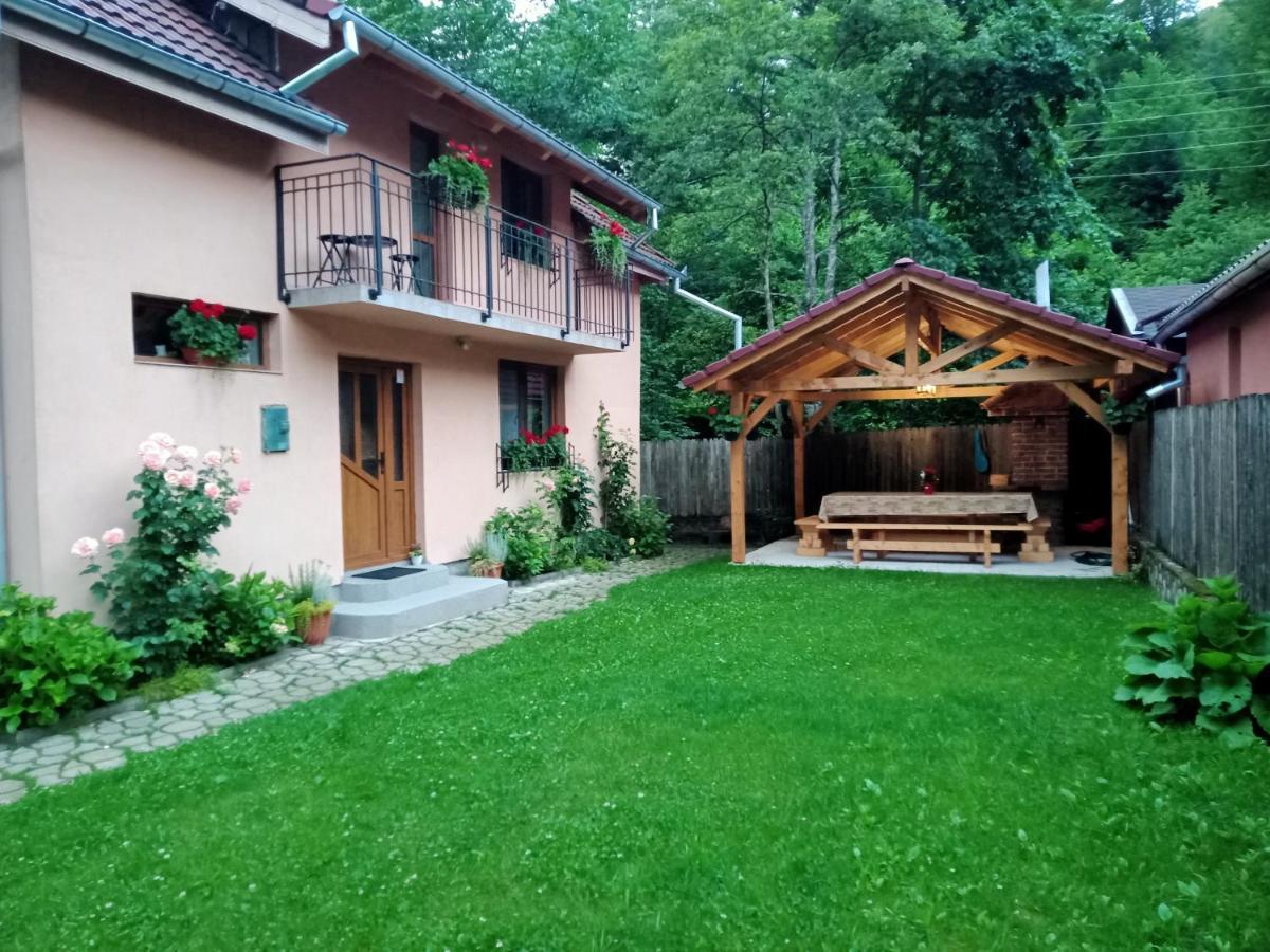 Casa Iulia & Matei Villa Cîrţişoara Kültér fotó