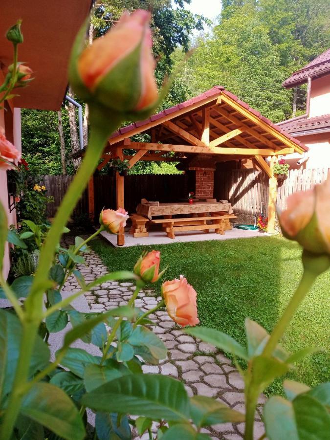 Casa Iulia & Matei Villa Cîrţişoara Kültér fotó