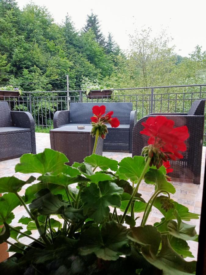 Casa Iulia & Matei Villa Cîrţişoara Kültér fotó