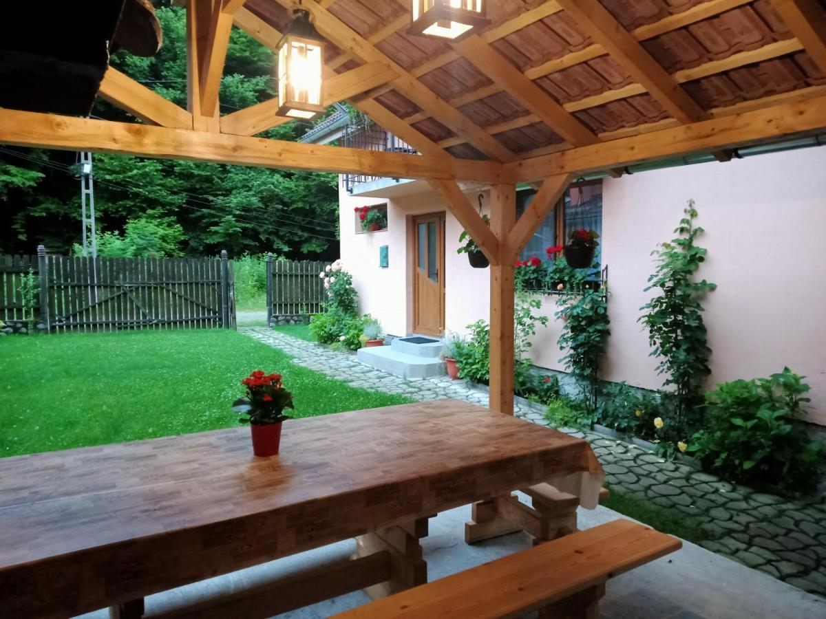 Casa Iulia & Matei Villa Cîrţişoara Kültér fotó