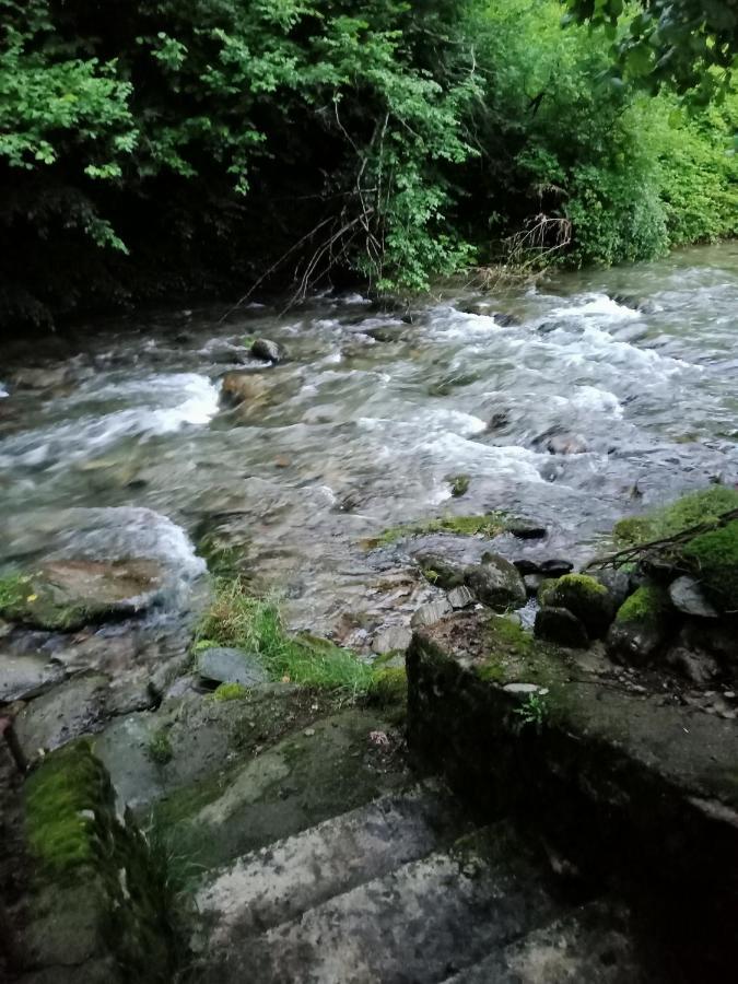 Casa Iulia & Matei Villa Cîrţişoara Kültér fotó
