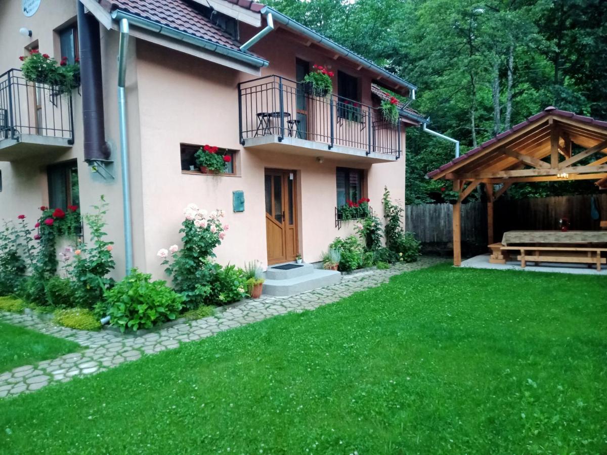 Casa Iulia & Matei Villa Cîrţişoara Kültér fotó