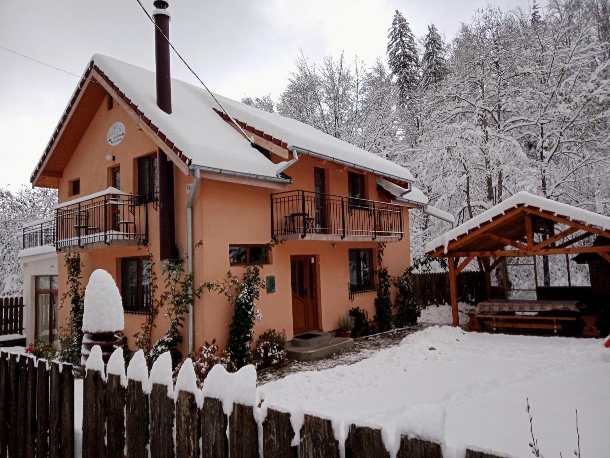 Casa Iulia & Matei Villa Cîrţişoara Kültér fotó