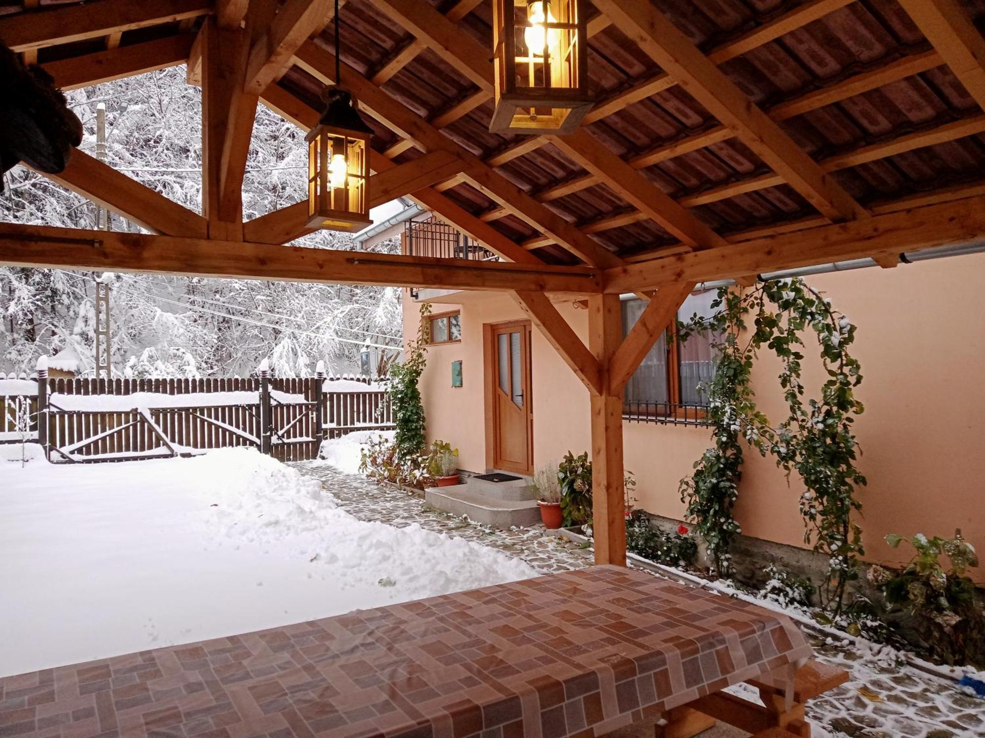 Casa Iulia & Matei Villa Cîrţişoara Kültér fotó