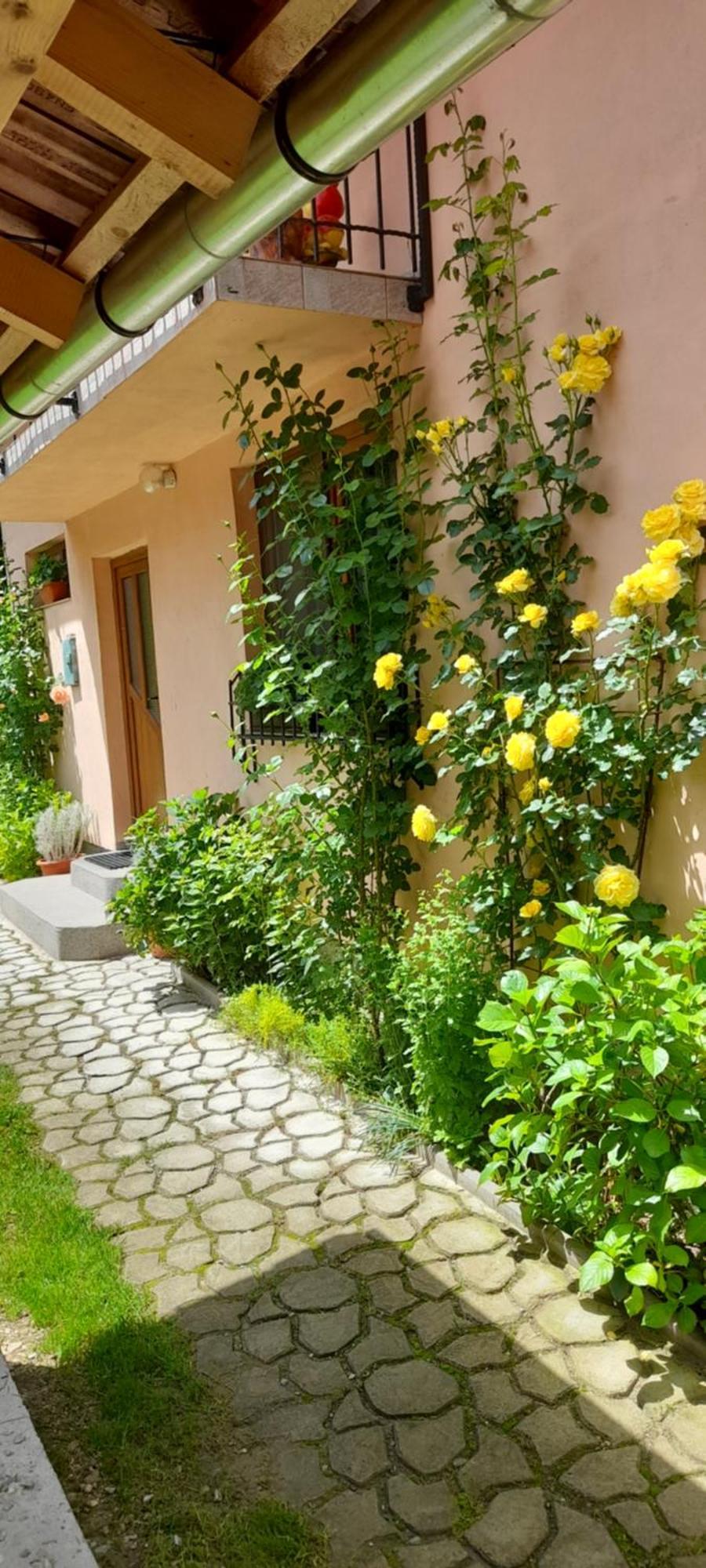 Casa Iulia & Matei Villa Cîrţişoara Kültér fotó