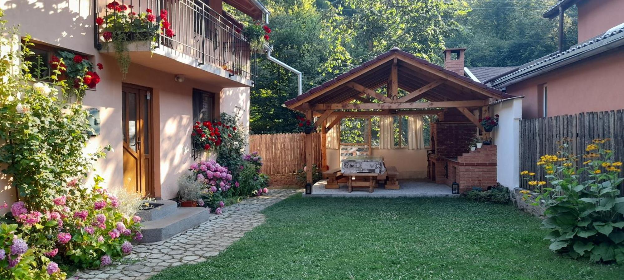 Casa Iulia & Matei Villa Cîrţişoara Kültér fotó